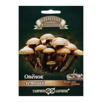 Мицелий на компосте 12шт (опенок летний) 2869310