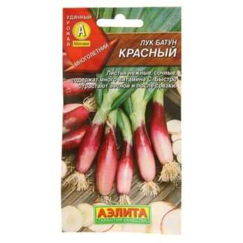 Лук батун "Красный" 0,3г 1314225