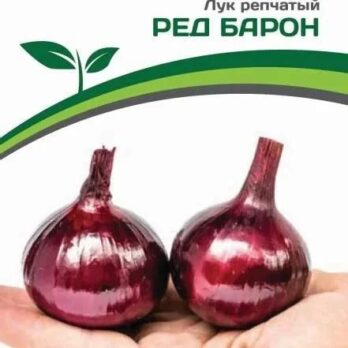 Лук репчатый "Ред Барон" 0,5г 1731434
