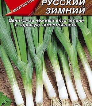 Лук батун Русский зимний 1г