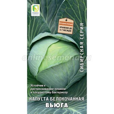 Капуста белокачан. "Сила Сибири" 0,3г 9338389