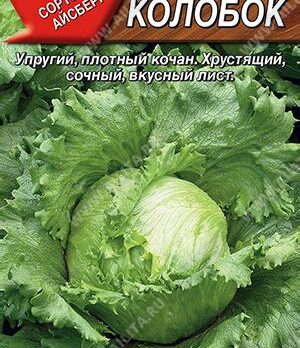 Салат "Колобок кочанный" тип Айсберг 0,5г 3975875