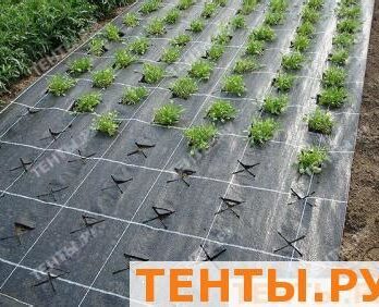 Почвоукрывной NAKSAN 1,55м х 100м (черный)
