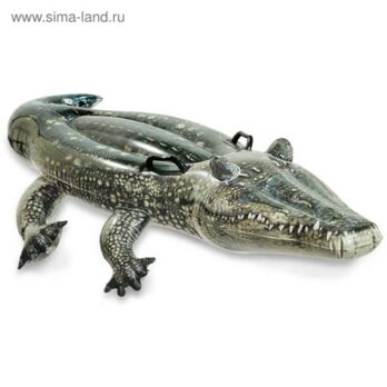 Игрушка д/плавания надувная "Аллигатор" 170х86см (57551NP) 1692838
