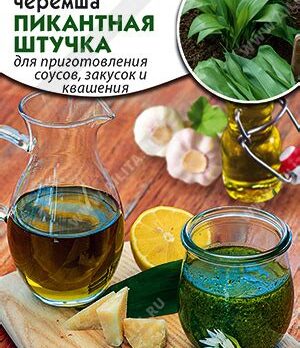 Черемша "Пикантная штучка" 0,5г 7643837