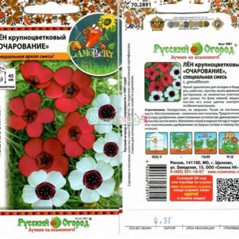 Лен крупноцветковый "Очарование"" смесь 0,3г 5431419