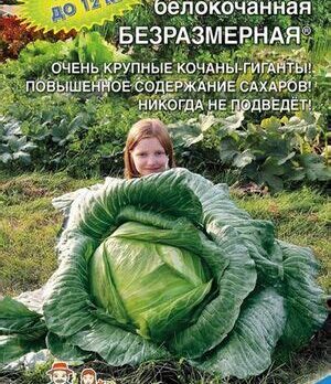 Капуста белокачан. "Безразмерная" 0,3г 15470804
