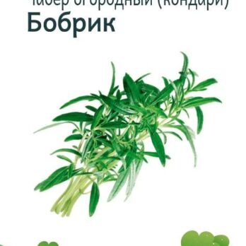 Семена Чабер огородный Бобрик 0,3г 6252558