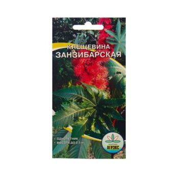 Клещевина Занзибарская 2шт. 9379198