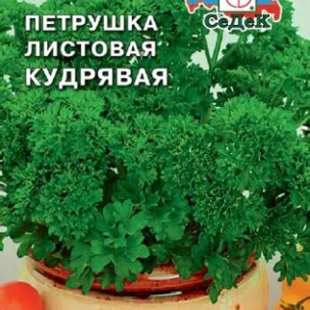 Петрушка "Кудрявая" 1г 2746639