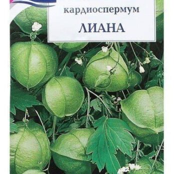 Семена цветов Кардиоспермум "ЛИАНА"  0,3г 9338599
