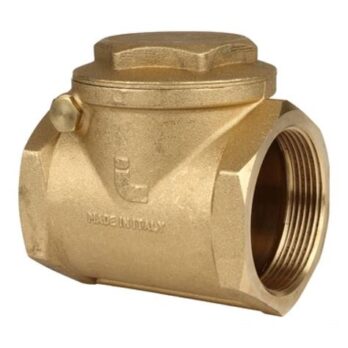 Обратный клапан 1" ВР лепестковый