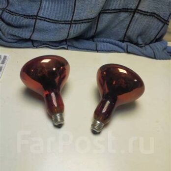 Лампочка Термоизлучатель ИКЗК красная 250Вт Е27   38859