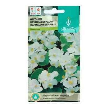 Бегония вечноцв. "Вариация белая F1"  10шт 5460448