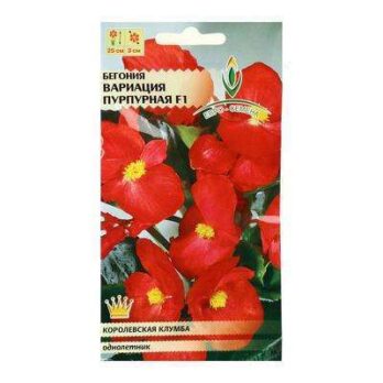 Бегония вечноцв. "Вариация пурпурная F1"  10шт 5460449