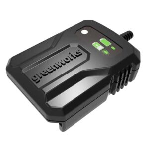 Зарядное устройство Greenworks G24UC2
