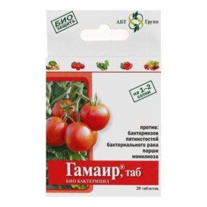 Бактерицид "ГАМАИР"  20табл. 5698289 445153