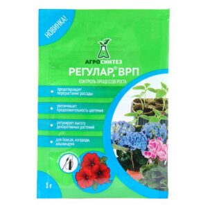 Регулар 1г