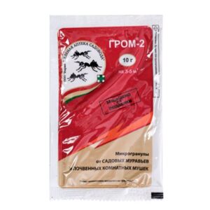 Инсектицид Гром- 2М д/борьбы с мурав. и почвен. мушками 10г 103566